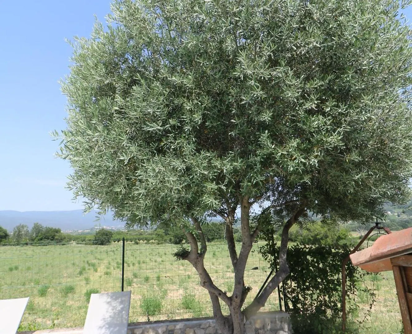 Gite De Charme Avec Piscine Dans Le Luberon Au Domaine Artemiss Apt 0*,